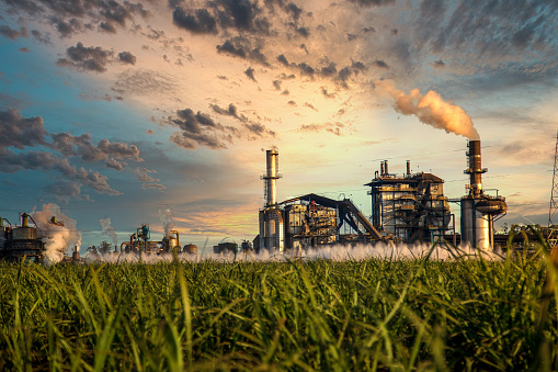 Sugar Industry